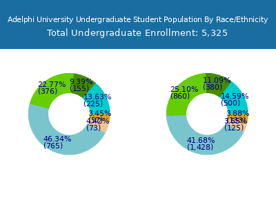 Adelphi University 2025 Undergraduate Enrollment by Gender and Race chart