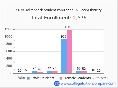 SUNY Adirondack 2025 Student Population by Gender and Race chart