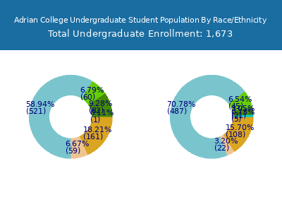Adrian College 2025 Undergraduate Enrollment by Gender and Race chart