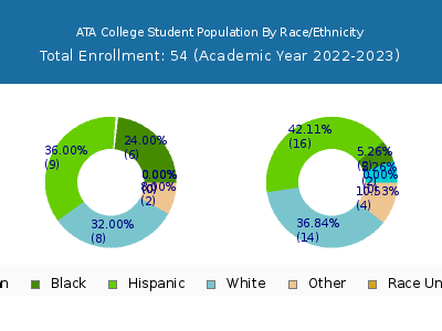 ATA College 2023 Student Population by Gender and Race chart