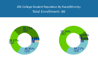 ATA College 2025 Student Population by Gender and Race chart