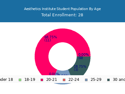 Aesthetics Institute 2024 Student Population Age Diversity Pie chart