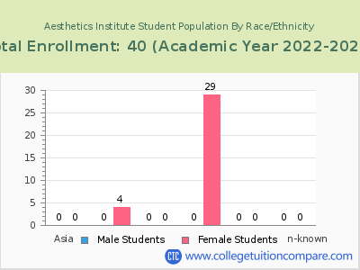 Aesthetics Institute 2023 Student Population by Gender and Race chart