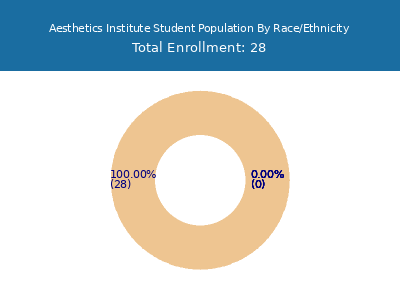 Aesthetics Institute 2025 Student Population by Gender and Race chart