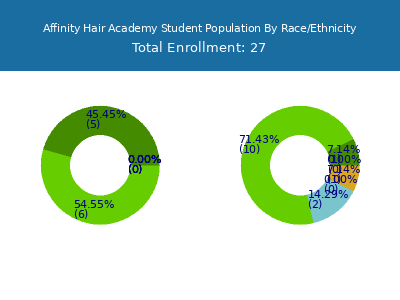 Affinity Hair Academy 2025 Student Population by Gender and Race chart