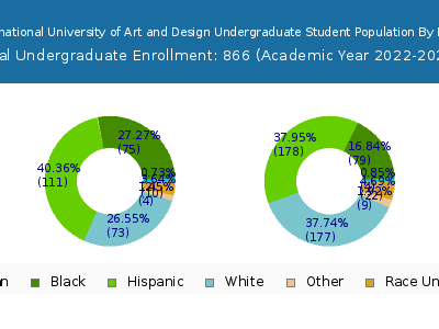 AI Miami International University of Art and Design 2023 Undergraduate Enrollment by Gender and Race chart