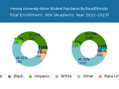 Herzing University-Akron 2023 Student Population by Gender and Race chart