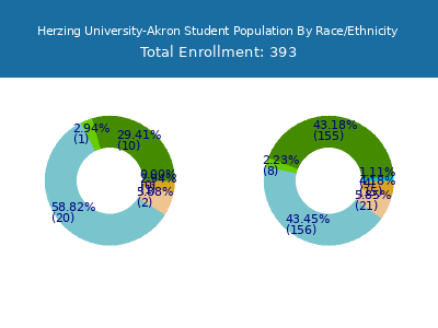 Herzing University-Akron 2025 Student Population by Gender and Race chart