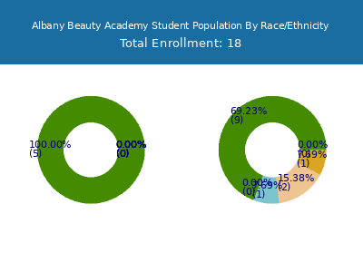 Albany Beauty Academy 2025 Student Population by Gender and Race chart