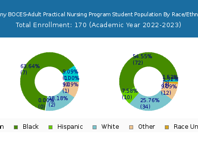 Albany BOCES-Adult Practical Nursing Program 2023 Student Population by Gender and Race chart