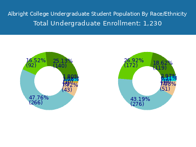 Albright College 2025 Undergraduate Enrollment by Gender and Race chart
