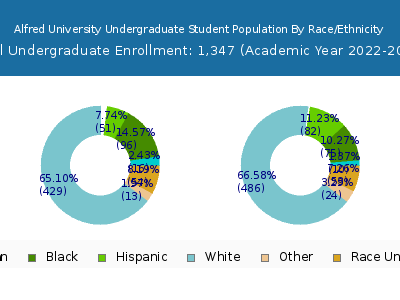 Alfred University 2023 Undergraduate Enrollment by Gender and Race chart