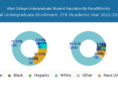 Allen College 2023 Undergraduate Enrollment by Gender and Race chart