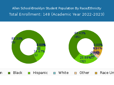 Allen School-Brooklyn 2023 Student Population by Gender and Race chart