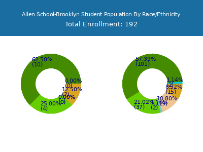 Allen School-Brooklyn 2025 Student Population by Gender and Race chart