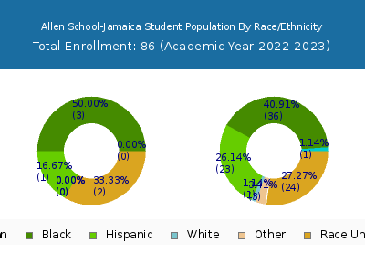 Allen School-Jamaica 2023 Student Population by Gender and Race chart