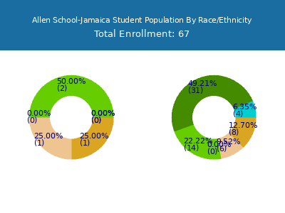 Allen School-Jamaica 2025 Student Population by Gender and Race chart