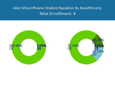 Allen School-Phoenix 2025 Student Population by Gender and Race chart
