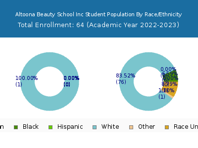 Altoona Beauty School Inc 2023 Student Population by Gender and Race chart