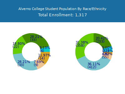 Alverno College 2025 Student Population by Gender and Race chart