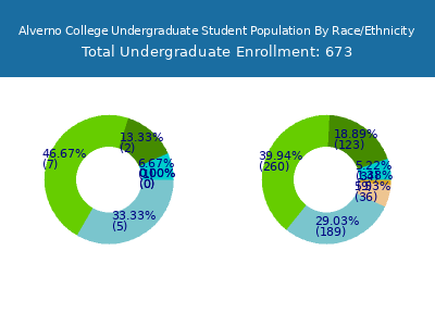 Alverno College 2025 Undergraduate Enrollment by Gender and Race chart