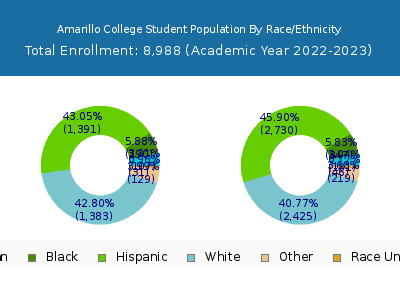 Amarillo College 2023 Student Population by Gender and Race chart
