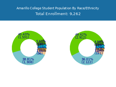 Amarillo College 2025 Student Population by Gender and Race chart