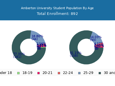 Amberton University 2024 Student Population Age Diversity Pie chart