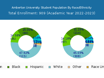 Amberton University 2023 Student Population by Gender and Race chart