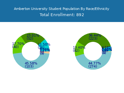Amberton University 2025 Student Population by Gender and Race chart