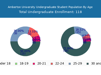 Amberton University 2024 Undergraduate Enrollment Age Diversity Pie chart