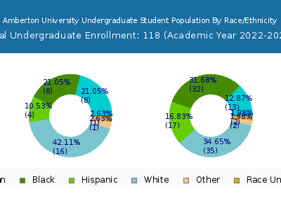 Amberton University 2023 Undergraduate Enrollment by Gender and Race chart