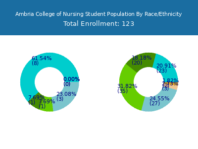 Ambria College of Nursing 2025 Student Population by Gender and Race chart