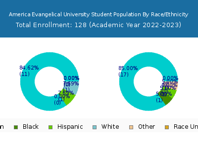 America Evangelical University 2023 Student Population by Gender and Race chart