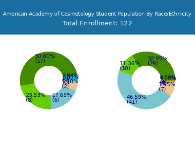 American Academy of Cosmetology 2025 Student Population by Gender and Race chart