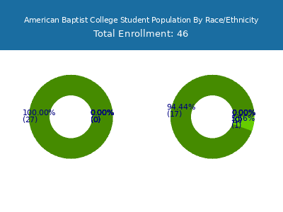 American Baptist College 2025 Student Population by Gender and Race chart
