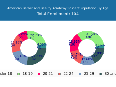 American Barber and Beauty Academy 2024 Student Population Age Diversity Pie chart