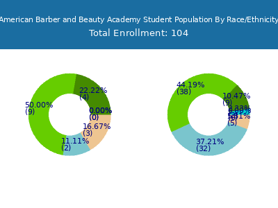 American Barber and Beauty Academy 2025 Student Population by Gender and Race chart