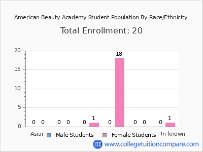 American Beauty Academy 2025 Student Population by Gender and Race chart
