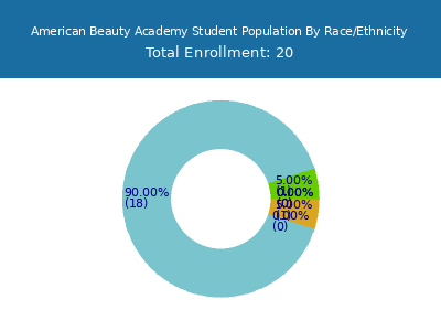 American Beauty Academy 2025 Student Population by Gender and Race chart
