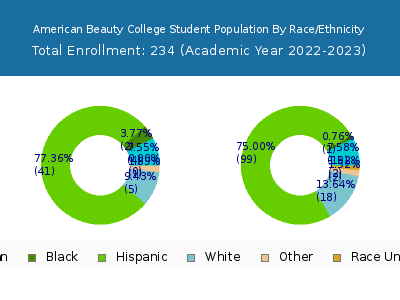 American Beauty College 2023 Student Population by Gender and Race chart