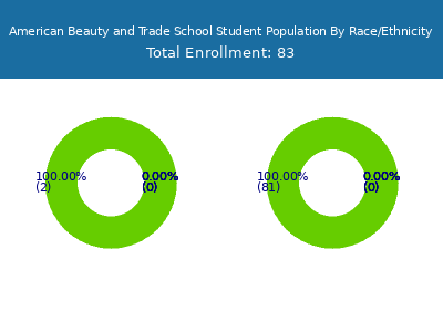 American Beauty and Trade School 2025 Student Population by Gender and Race chart