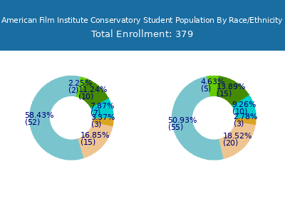 American Film Institute Conservatory 2025 Student Population by Gender and Race chart
