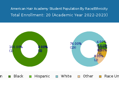 American Hair Academy 2023 Student Population by Gender and Race chart