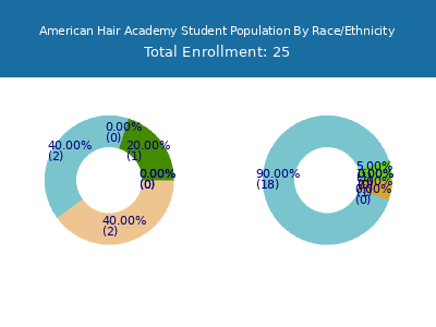 American Hair Academy 2025 Student Population by Gender and Race chart