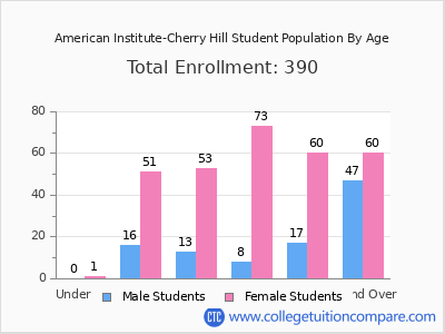 American Institute-Cherry Hill 2024 Student Population by Age chart