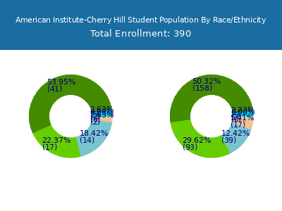 American Institute-Cherry Hill 2025 Student Population by Gender and Race chart