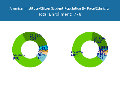 American Institute-Clifton 2025 Student Population by Gender and Race chart