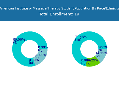 American Institute of Massage Therapy 2025 Student Population by Gender and Race chart