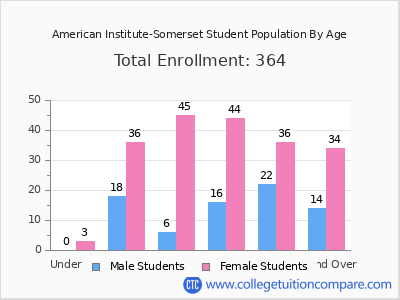 American Institute-Somerset 2024 Student Population by Age chart